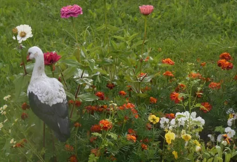 ベッドアンドブレックファースト Guest House Bereza