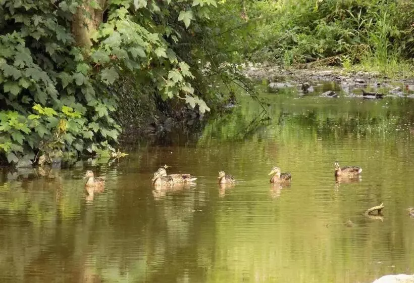 Majatalo Flynns Of Termonfeckin Boutique