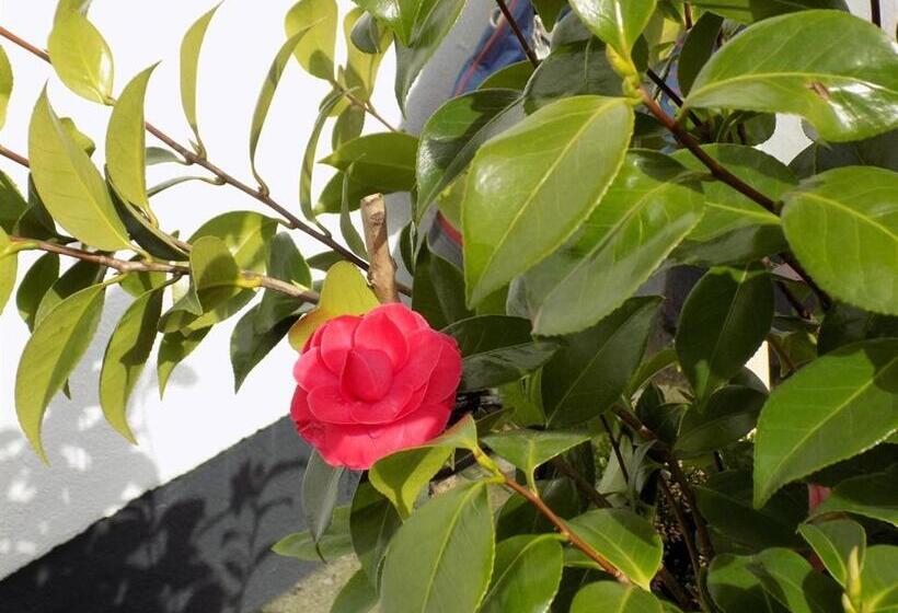 بنسيون Flynns Of Termonfeckin Boutique