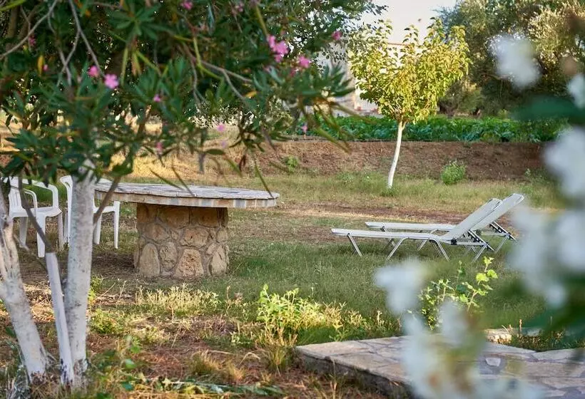 Villa Rania / Zante Drosia