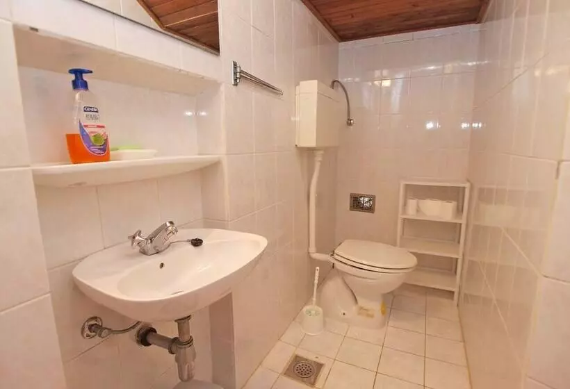 Apartments Ivan 41