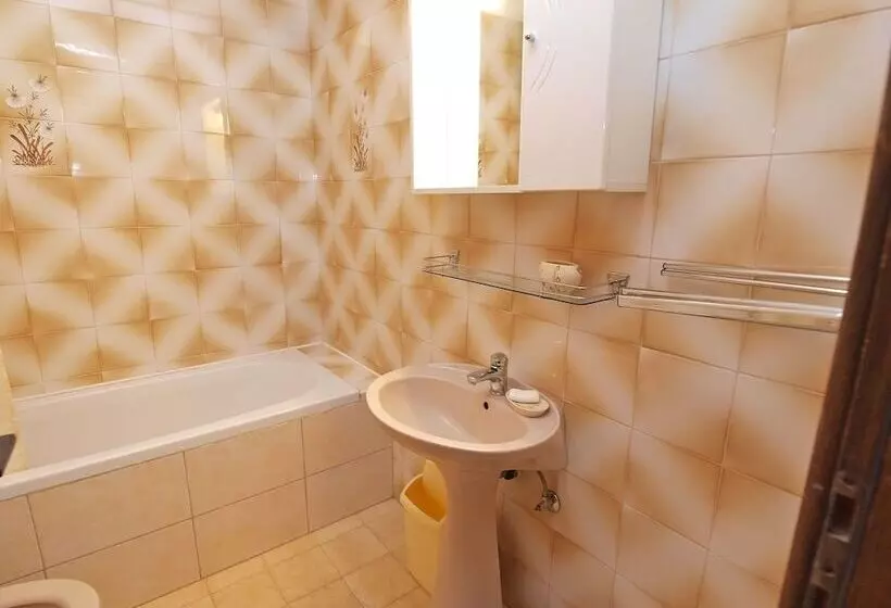 Apartments Ivan 41