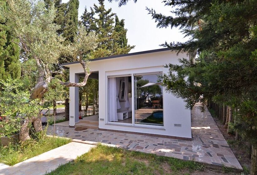 Apartments Volf 1405