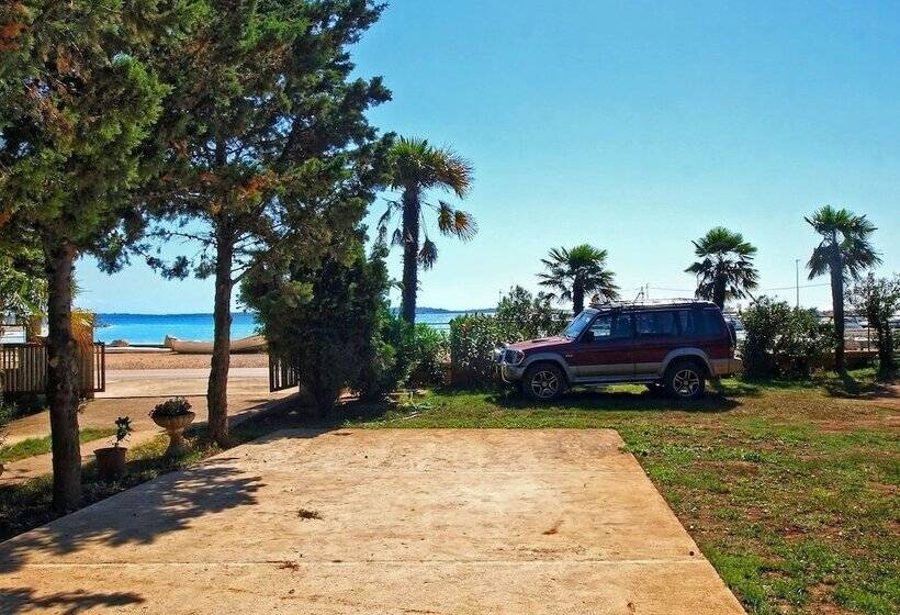 Apartments Volf 1405