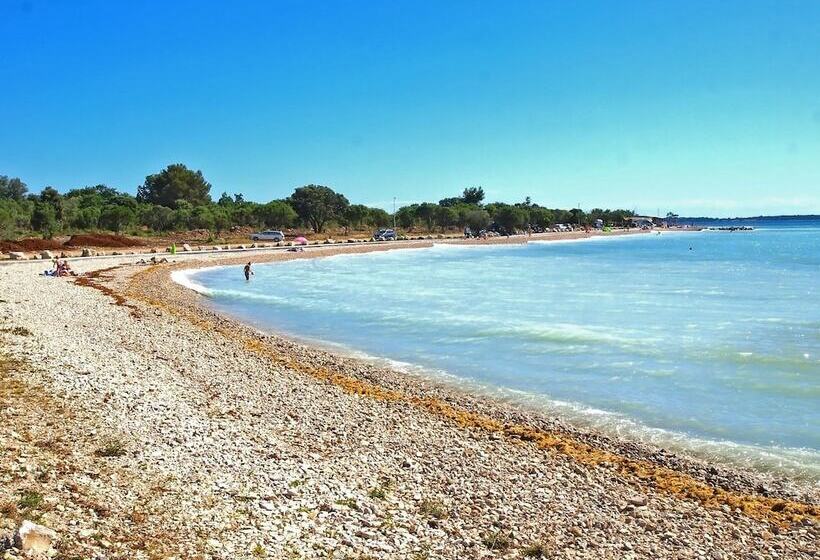 Apartments Volf 1405