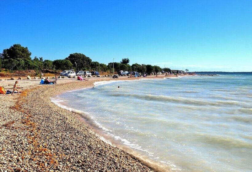 Apartments Volf 1405