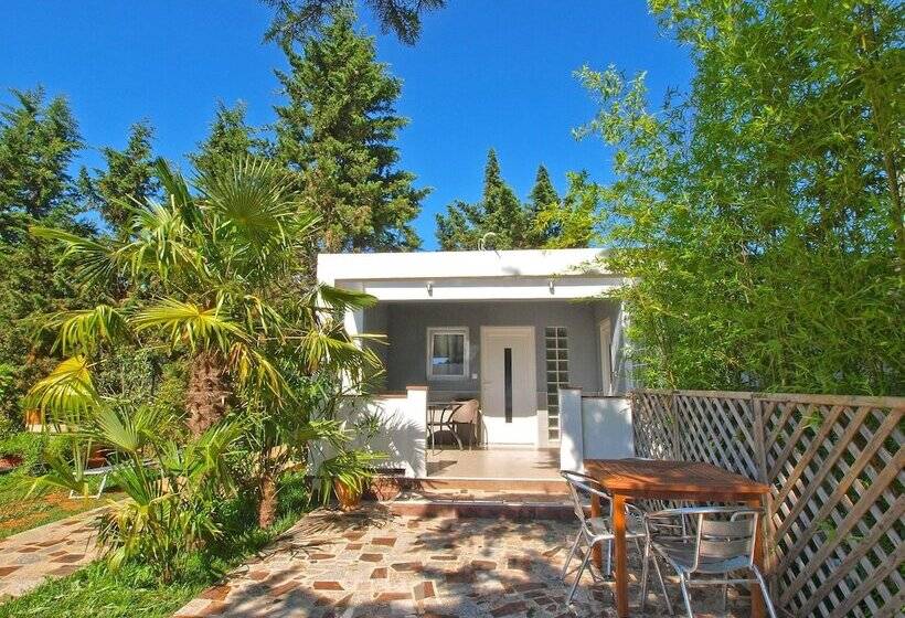 Apartments Volf 1405