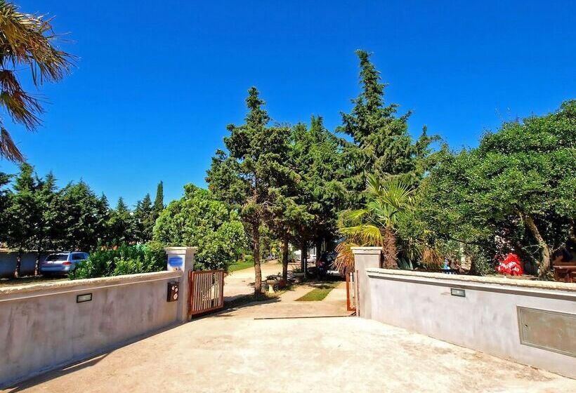 Apartments Volf 1405