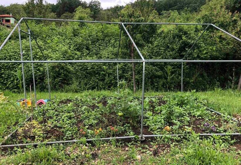 Vaela Hotel Cultural Resort