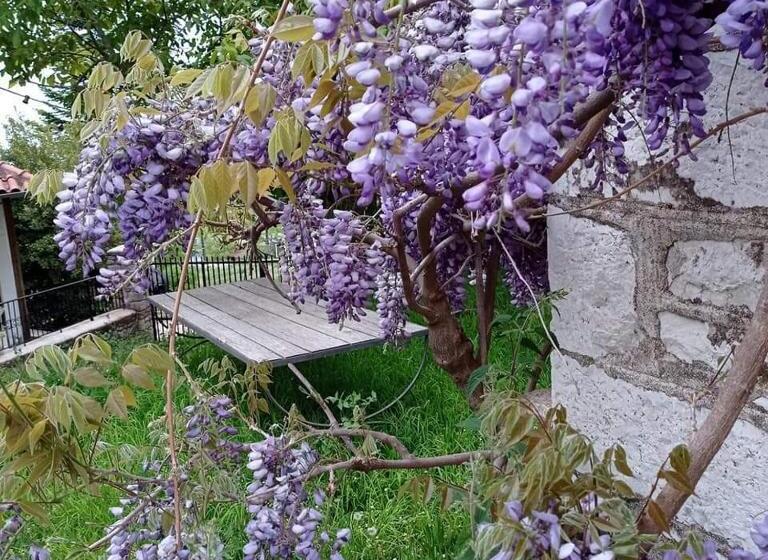 Vaela Hotel Cultural Resort