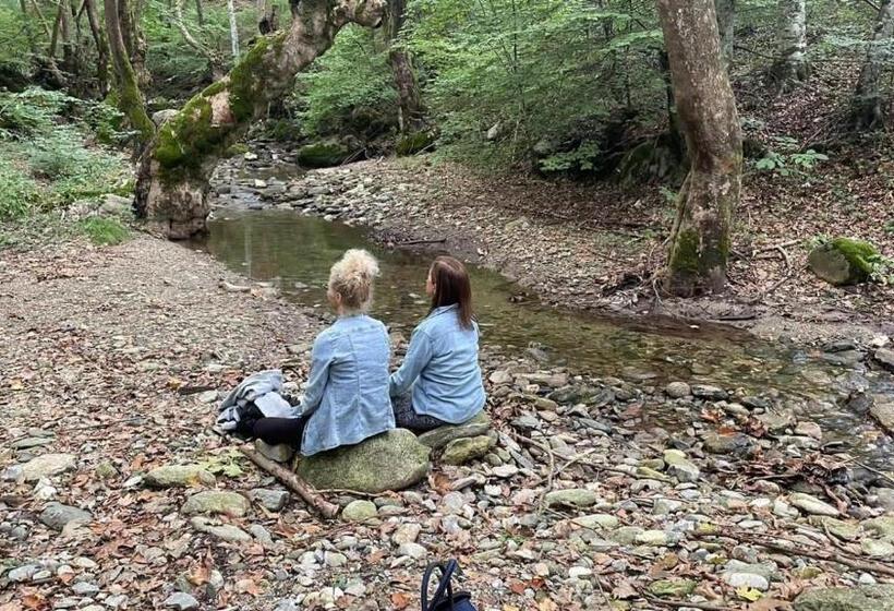 Vaela Hotel Cultural Resort