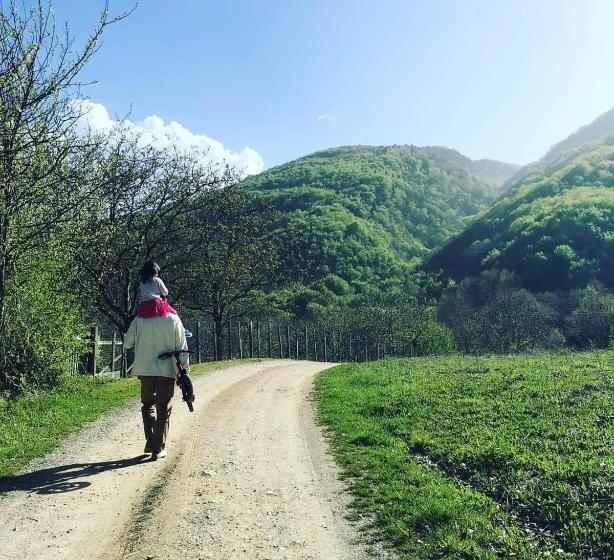 Vaela Hotel Cultural Resort