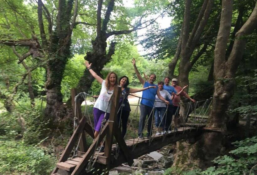 Vaela Hotel Cultural Resort