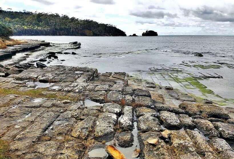 Eaglehawk Rainforest Retreat