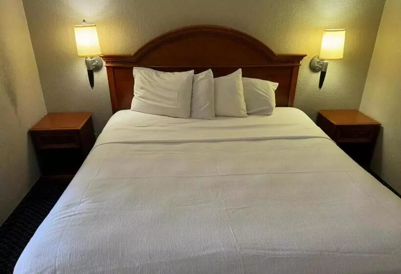 Homegate Studios & Suites San Antonio Medical Center