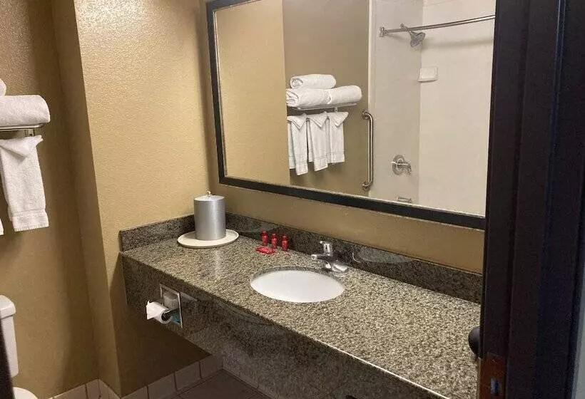 ホテル Fairfield By Marriott Inn & Suites Phoenix South Mountain Area