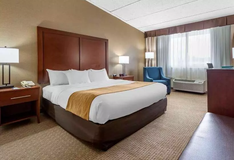 酒店 Comfort Inn Lancaster County North