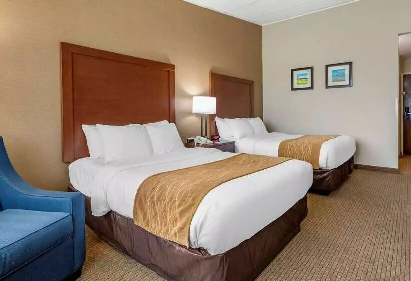 酒店 Comfort Inn Lancaster County North