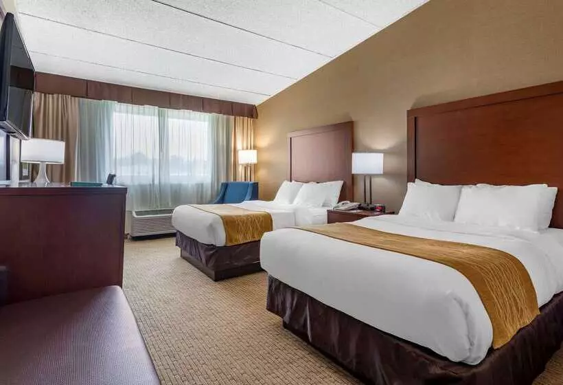 酒店 Comfort Inn Lancaster County North