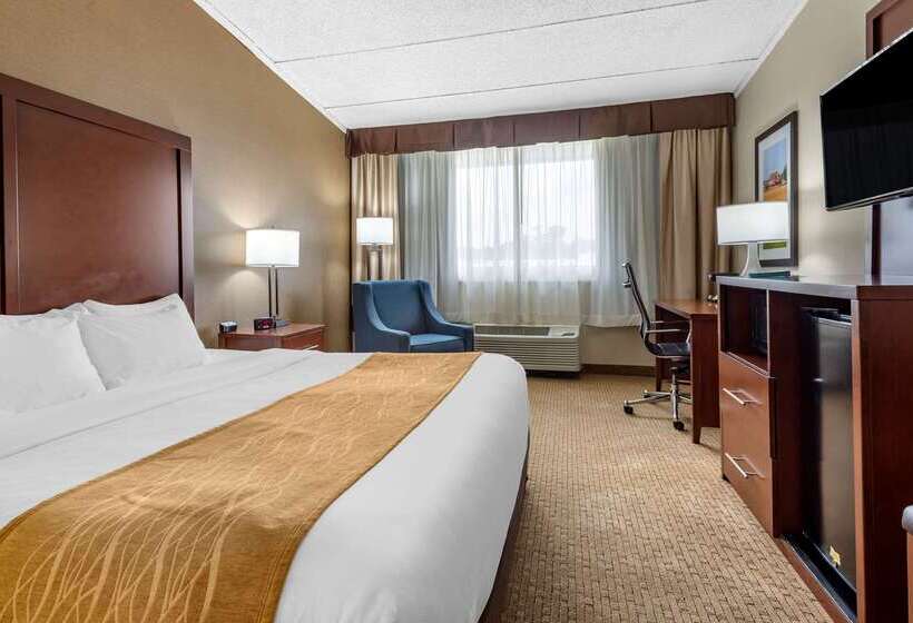 Отель Comfort Inn Lancaster County North