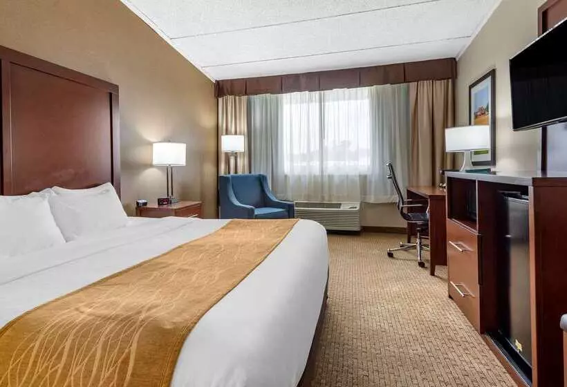 酒店 Comfort Inn Lancaster County North