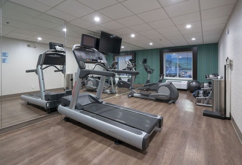 Holiday Inn Express Hotel & Suites Coon Rapids   Blaine Area, An Ihg