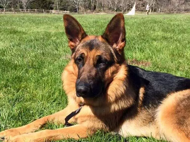 호텔 Homestead Inn   Blowing Rock