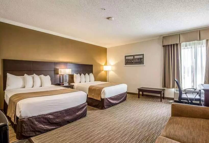 ホテル Quality Inn & Suites Seabrook  Nasa  Kemah