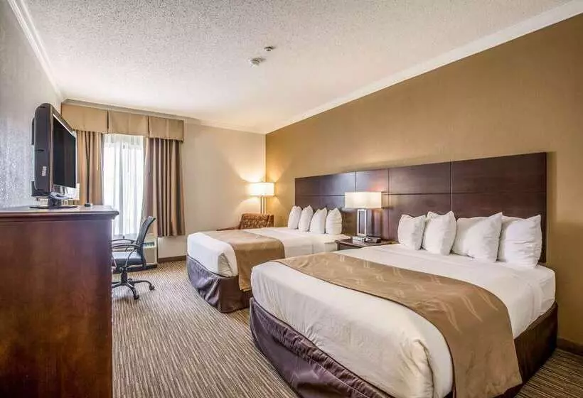 ホテル Quality Inn & Suites Seabrook  Nasa  Kemah