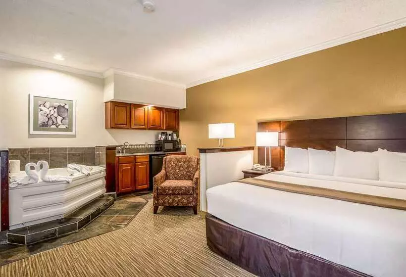 ホテル Quality Inn & Suites Seabrook  Nasa  Kemah