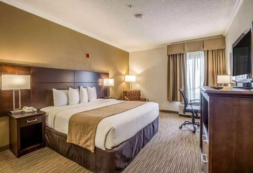 ホテル Quality Inn & Suites Seabrook  Nasa  Kemah