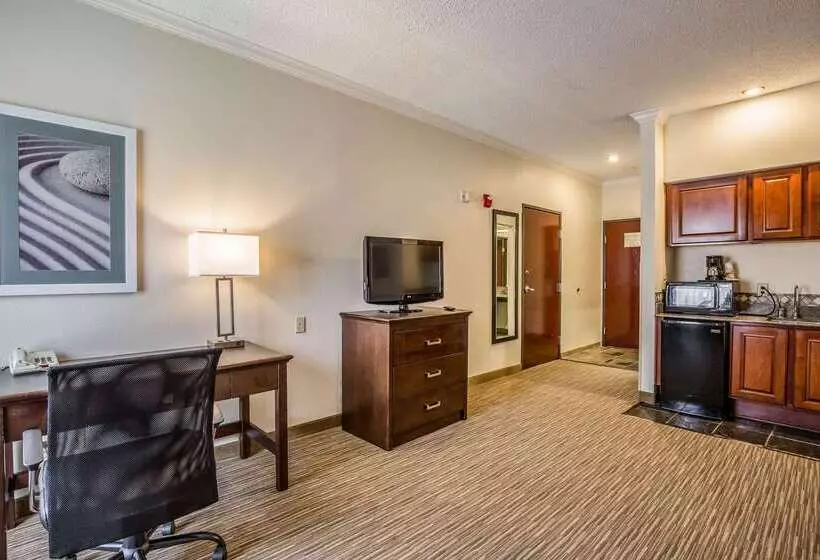 ホテル Quality Inn & Suites Seabrook  Nasa  Kemah