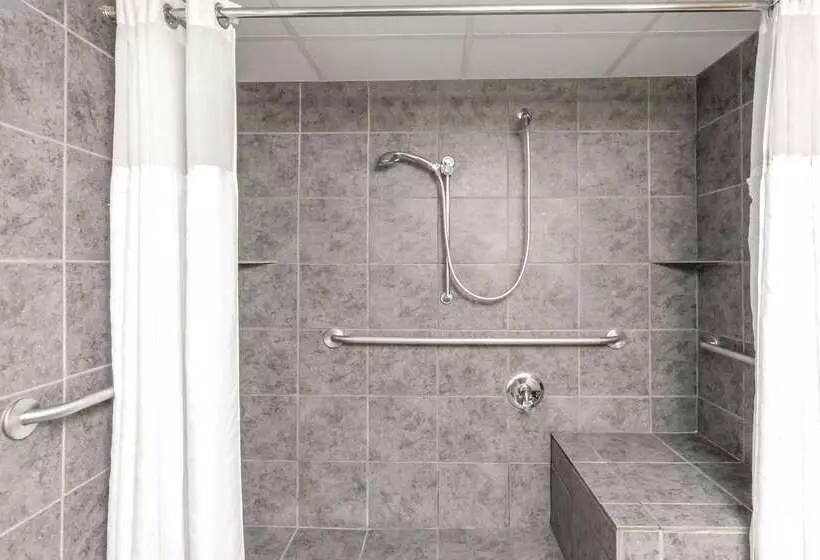 Wyndham Garden Hotel Austin