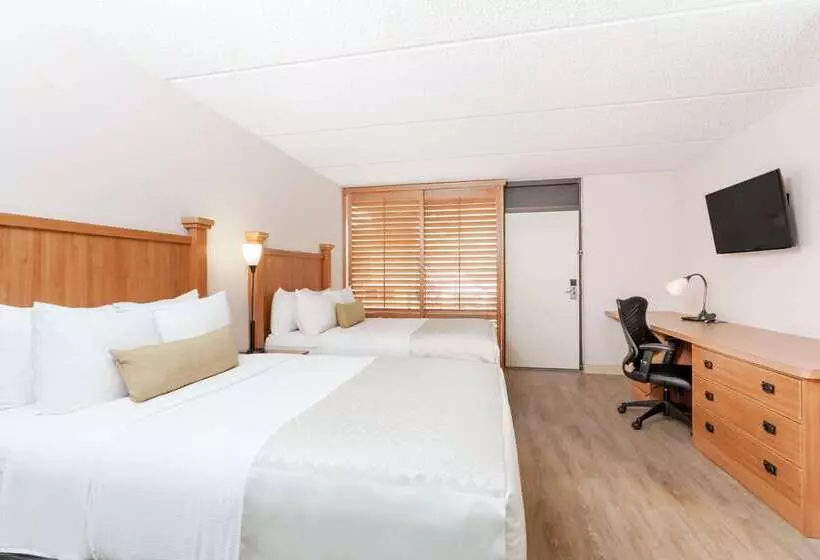 Wyndham Garden Hotel Austin