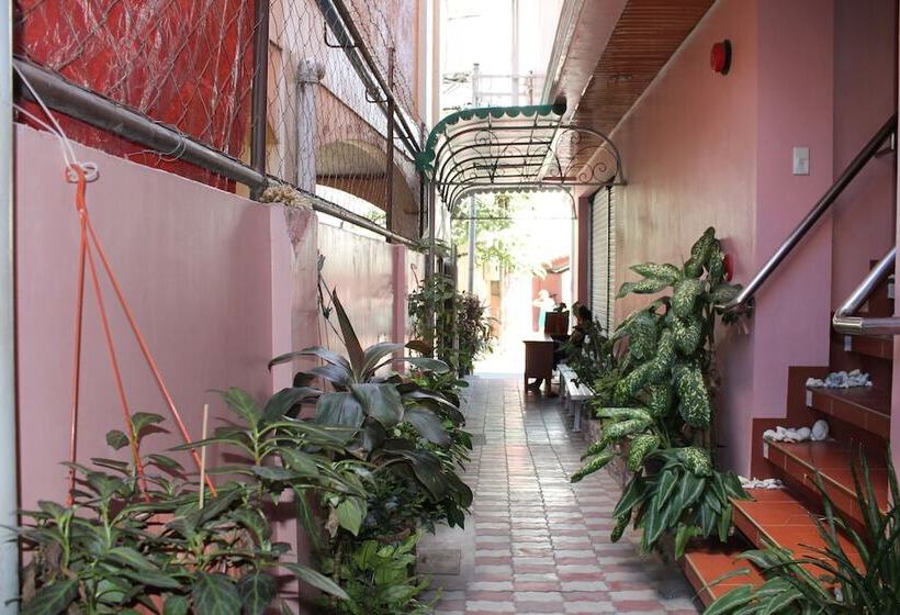 酒店 M.n. Boracay Lodge Inn