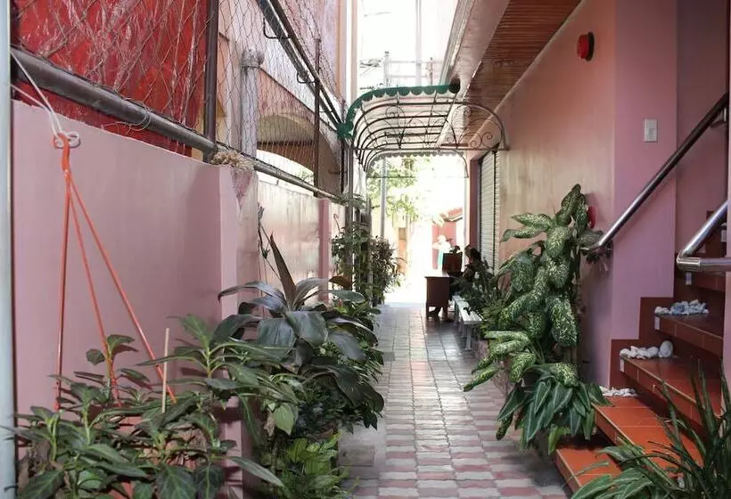 ホテル M.n. Boracay Lodge Inn