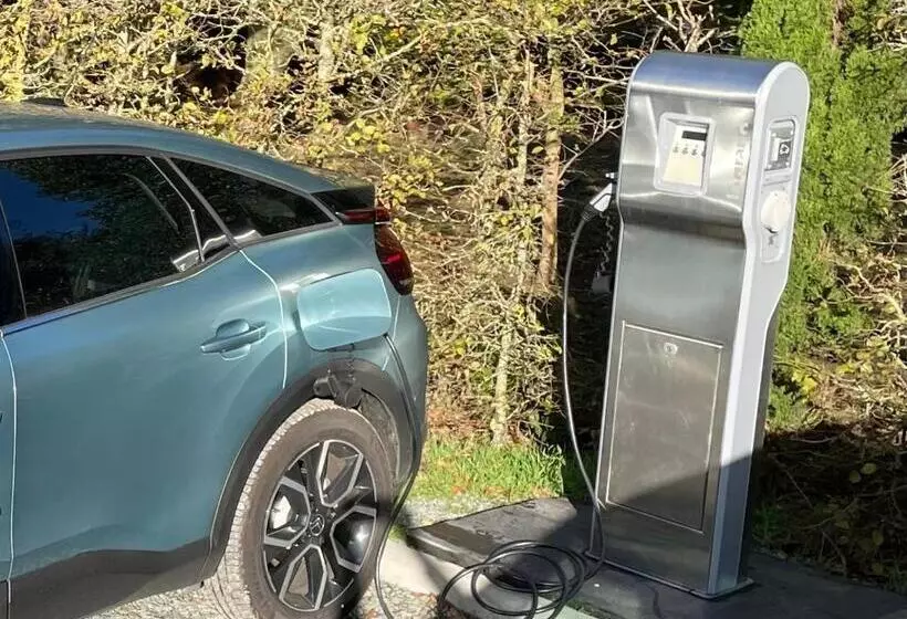 ベッドアンドブレックファースト Vignoble Château Piéguë   Winery