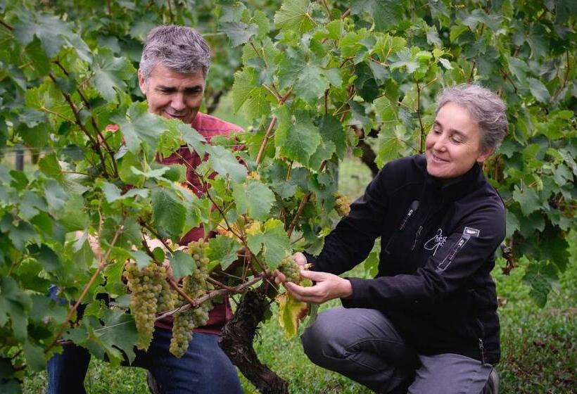 مبيت وإفطار Vignoble Château Piéguë   Winery