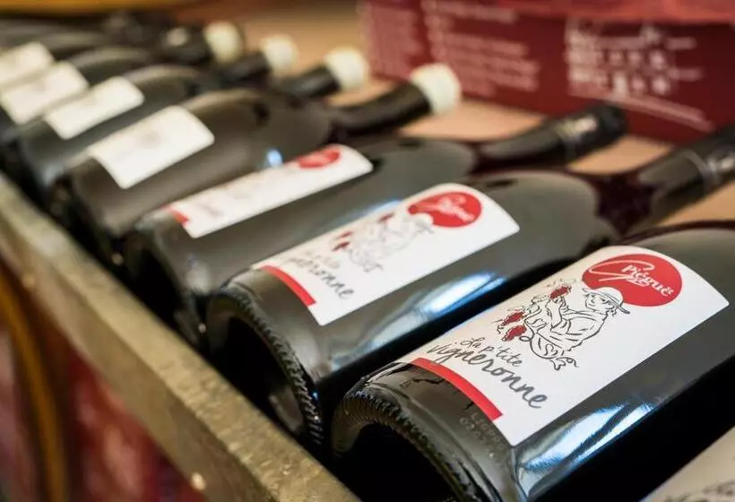 ベッドアンドブレックファースト Vignoble Château Piéguë   Winery