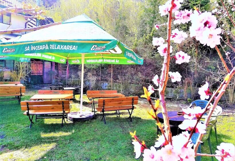 Пансион Leyla Guesthouse Castel