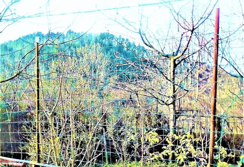 Пансион Leyla Guesthouse Castel