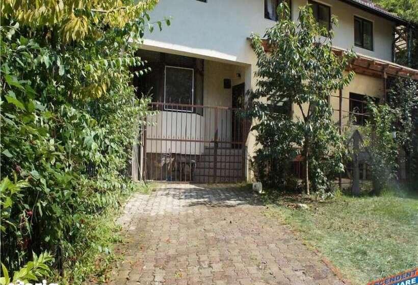 Пансион Leyla Guesthouse Castel