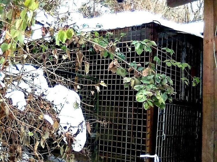 Пансион Leyla Guesthouse Castel