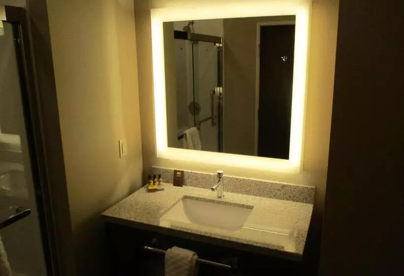 ホテル Best Western Plus Lakeview