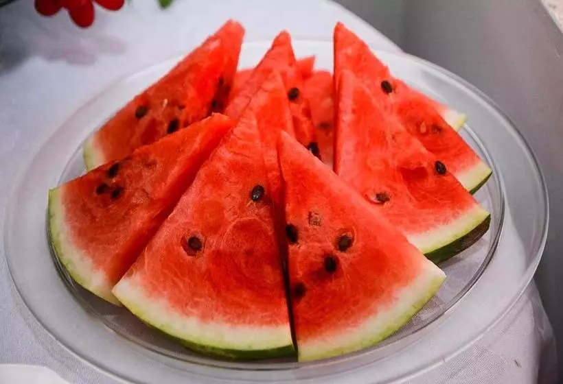 Hotelli Canaã Express