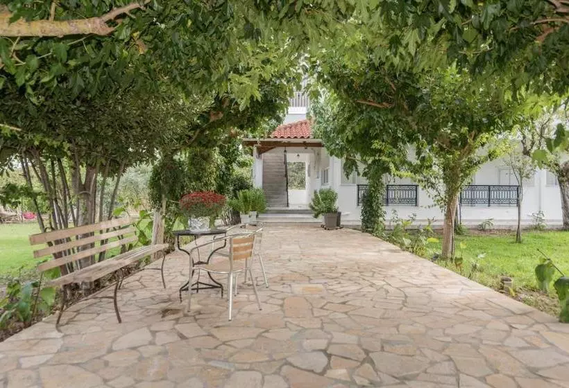 هتل Yiota Studios