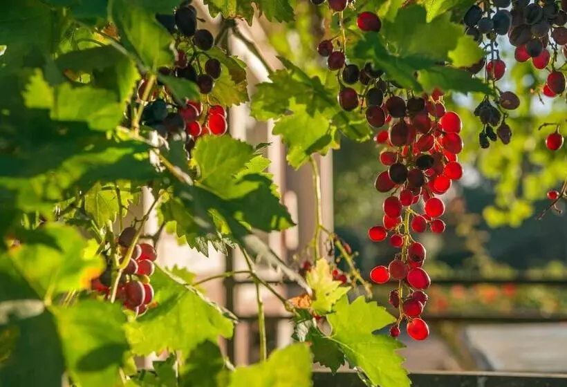 Jacobs Estate Cottage