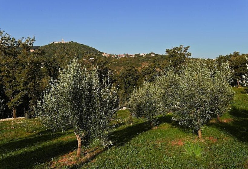 Pensjonat Apartments Villa Venera