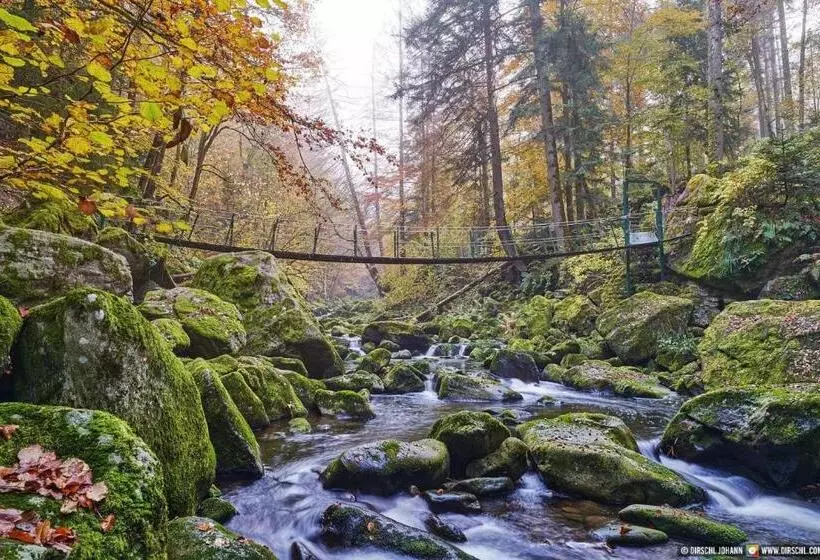 Pension Zum Schmidbäcker