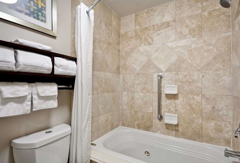 Отель Homewood Suites By Hilton Dallaslewisville